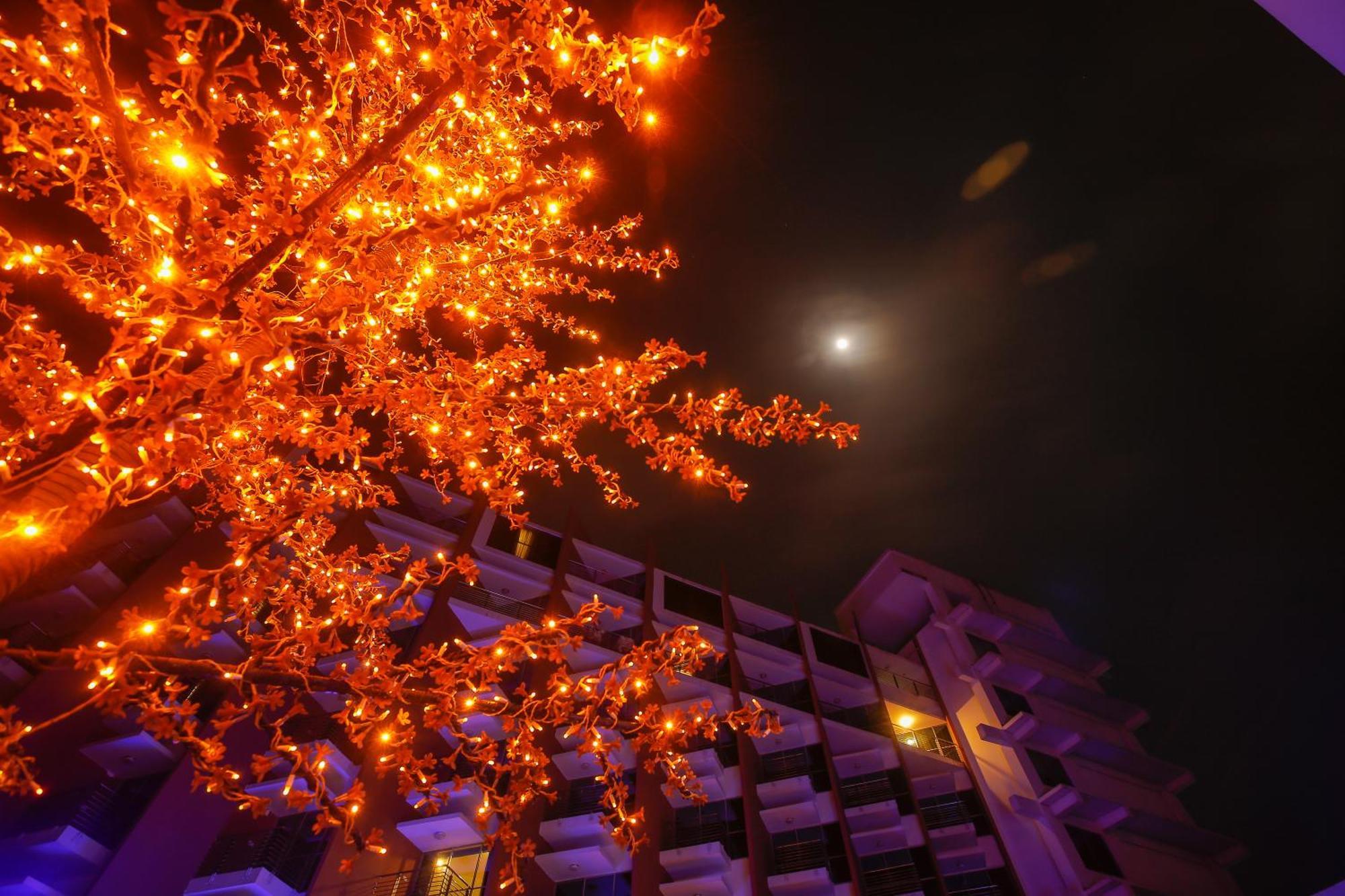 โรงแรมลอง บีช ค็อกซ์ บาซาร์ ค็อกเซสบาซาร์ ภายนอก รูปภาพ